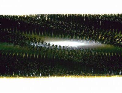 Broom, 45" 8 D.R. Poly