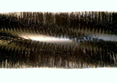 Broom, 49.5in 8 D.R. Poly & Wire
