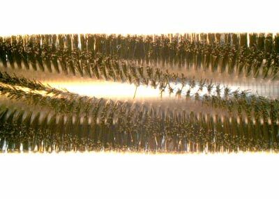 Broom, 50in 8 D.R. Poly