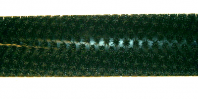 Brush, 32" 18 S.r. Poly