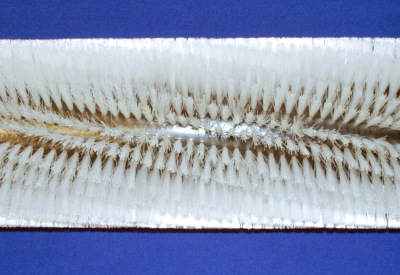 BRUSH, 45" 24 S.R. NYLON