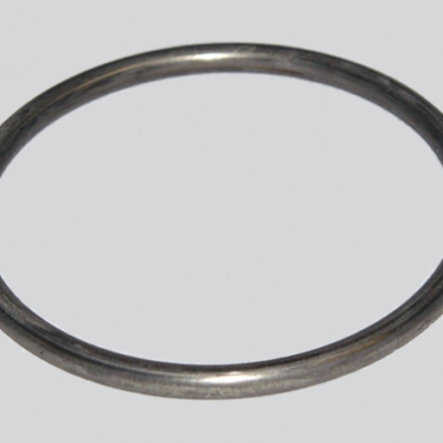 Metal Ring/Spring